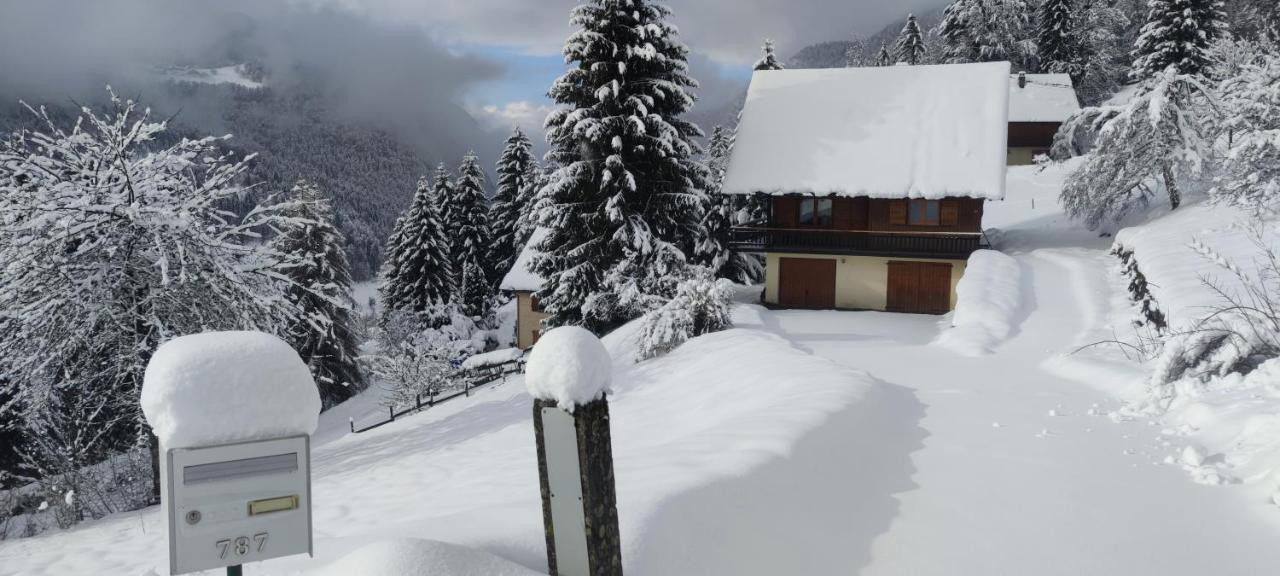 Chalet L'Alpe Saint-Pierre-d'Entremont  Exterior photo